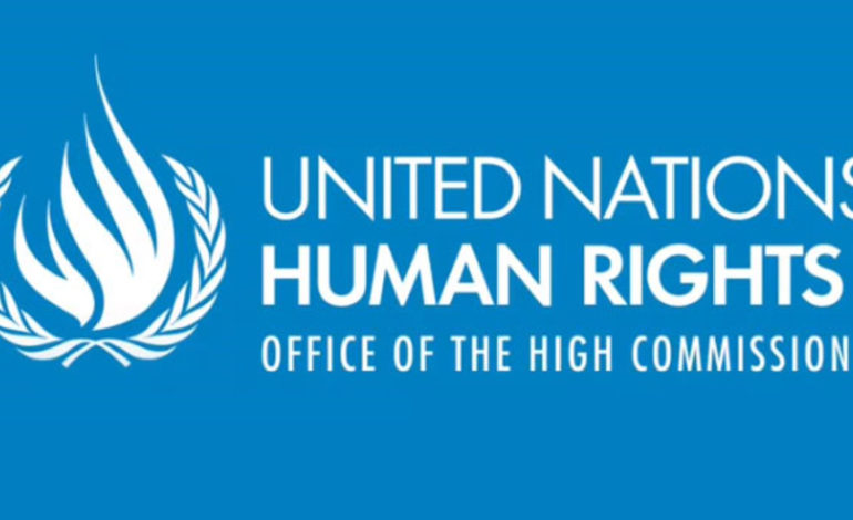 UN High Commissioner for Human Rights Calls for Ola and Hosam’s Unconditional Release